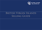 BVI Selling Guide