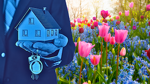 Top 11 marketing strategies that’ll help you spring into action