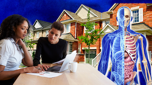 Anatomy of a client consultation: A head-to-toe approach