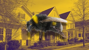 10 ways to create marketing buzz for your real estate business