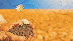 5 daily habits that eliminate transaction droughts