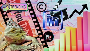 Not just Meta: Don’t sleep on YouTube and LinkedIn